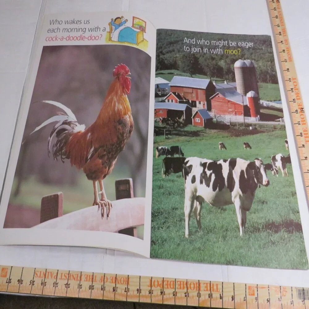 Sounds of the Farm BIG BOOK (almost 2 feet tall) with teacher pages Classroom